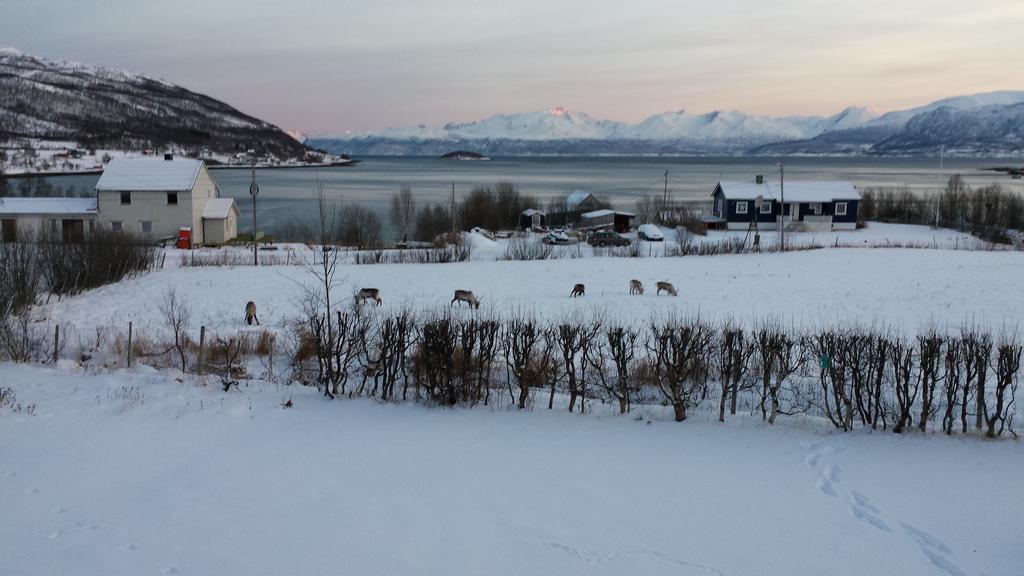 Utsikten Feriehus I Bakkeby Kültér fotó